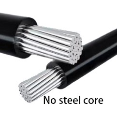 ካብ ኣየር ዝተጠምጠመ ገመድ የለን ሓጺናዊ ካር